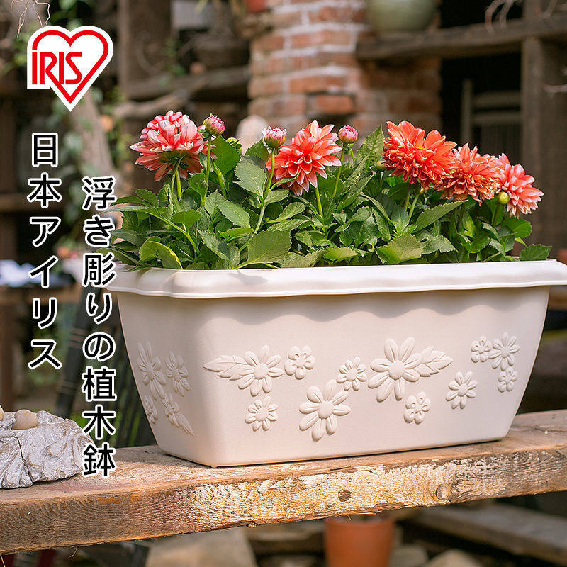 爱丽思花盆塑料大号多肉植物加厚仿陶瓷树脂种菜爱丽丝长方形花盆