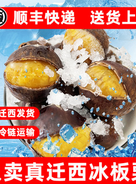 正宗迁西甜糯冰板栗产地直发