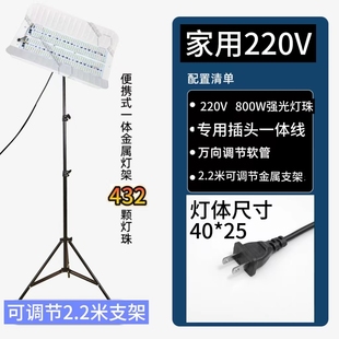 800W大功率LED碘钨灯打磨防水施工灯220V油工灯腻子工工地照明灯