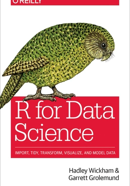 现货英文原版 数据科学 R语言实现 R for Data Science Hadley Wickham