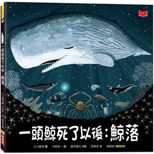 江口绘理 小天下 预售 一头鲸死了以后：鲸落