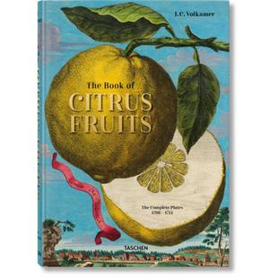 柑橘画册 英文原版 Citrus 现货 水果商人 原版 Book 艺术画集画册 The 进口图书 J.C.Volkamer Fruits