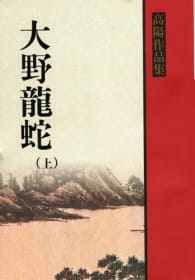预售正版  高阳大野龙蛇（上册）联经出版公司文学小说 原版进口书