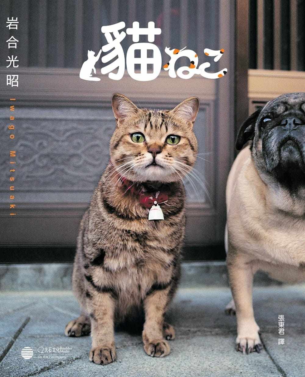 预售正版  岩合光昭岩合光昭 猫大石国际文化艺术设计 原版进口书