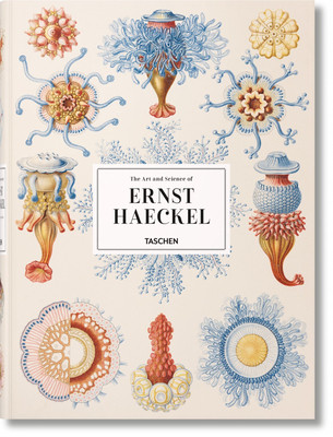 现货 英文原版 海克尔 进口艺术 THE ART OF ERNST HAECKEL. COMPLETE PLATES