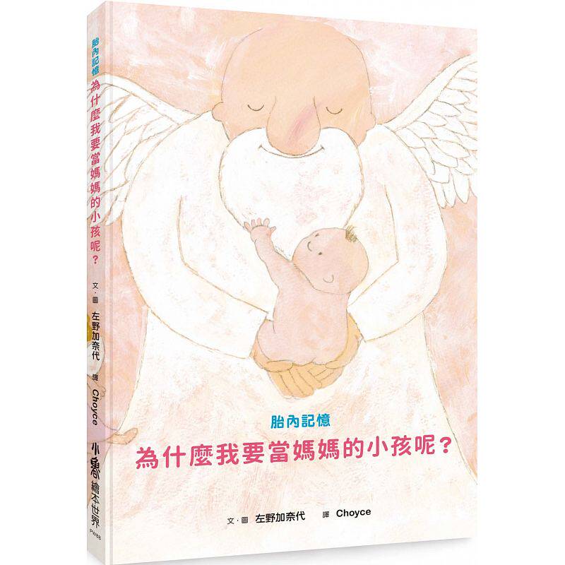 预售正版  胎内记忆为什么我要当妈妈的小孩呢？ 小鲁文化童书 青少年文学 原版进口书