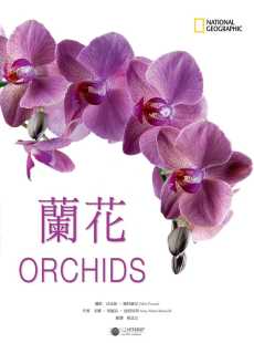 原版 预售正版 大石国际文化自然科普 兰花 进口书 安娜．玛丽亚．波提切利