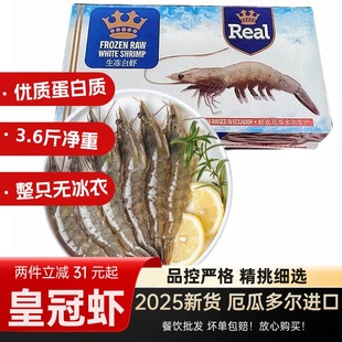 皇冠虾皇2030厄瓜多尔白虾3040南美进口大虾鲜活冷冻桑塔盐冻海虾