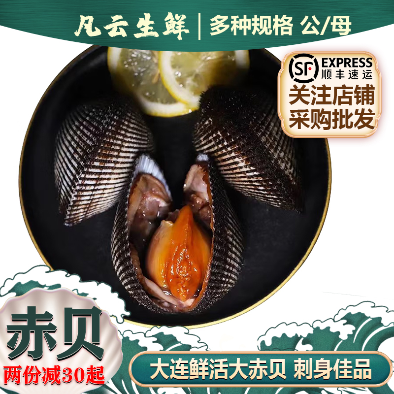 赤贝鲜活超大毛蚶新鲜肉刺身包邮