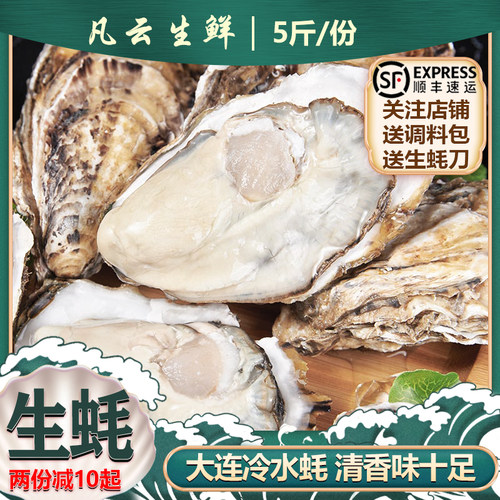 关注送生蚝刀大连鲜活刺身级生蚝