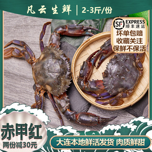 鲜活赤甲红蟹石蟹甲蟹保鲜不包活