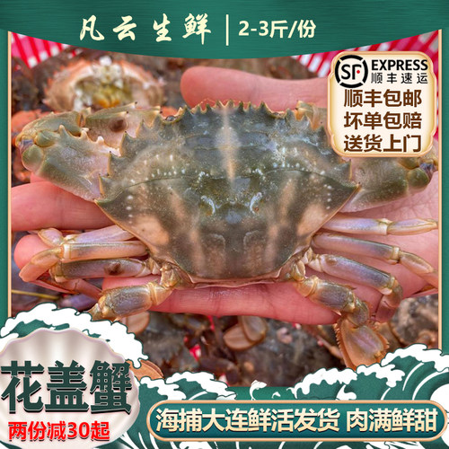 鲜活花盖蟹螃蟹新鲜大连发货包邮