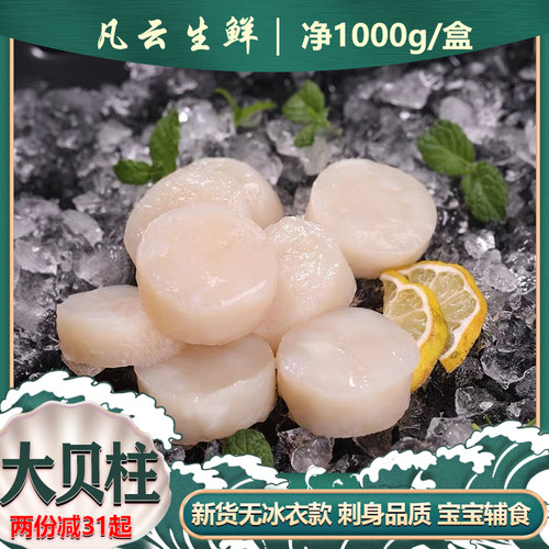 带子贝柱肉特大新鲜冷冻江瑶贝柱