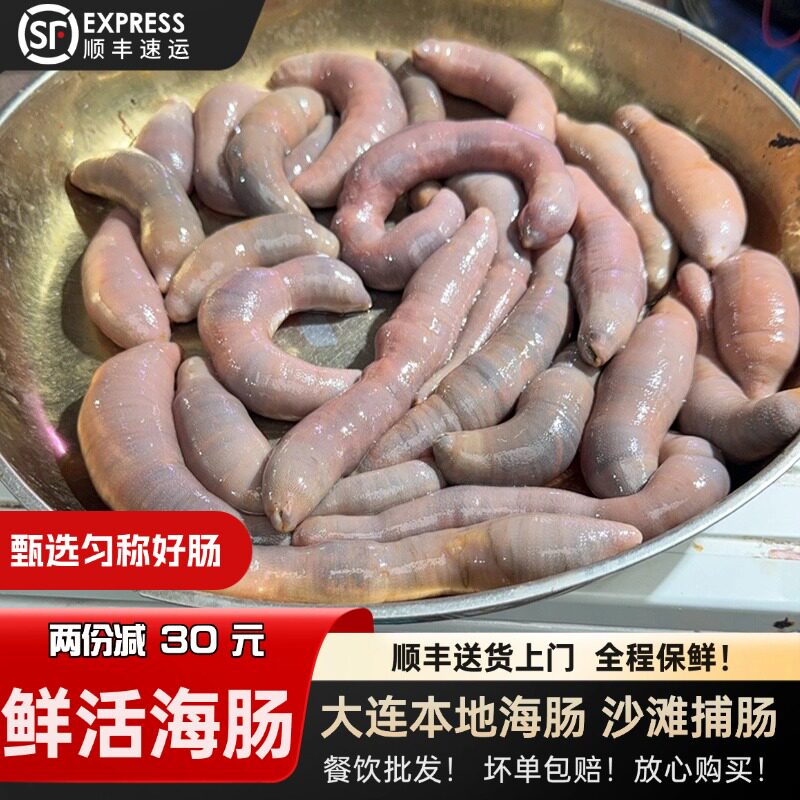 海肠鲜活新鲜捞饭即食肠粉大连海鲜高端日料食材水产生鲜海肠水饺