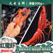 红魔虾鲜活冷冻赤刺身特大新鲜大虾海虾即食生腌海鲜冰鲜南海水产