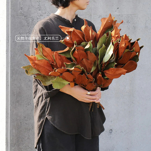 久伴天然干花真花永生花束长枝客厅桌面装 饰摆件侘寂复古高级法式