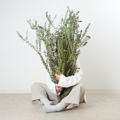 久伴天然干花永生花花束尤加利真花长枝客厅落地桌面装 饰摆件复古