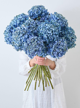 自然真花干花永生绣球插花超好看