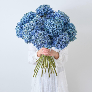 久伴天然绣球干花永生花花束真花插花客厅桌面装 饰摆件侘寂高级感