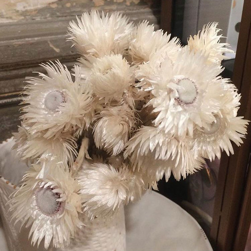 久伴天然银雪干花永生花束真花树枝客厅桌面装饰摆件侘寂复古高级