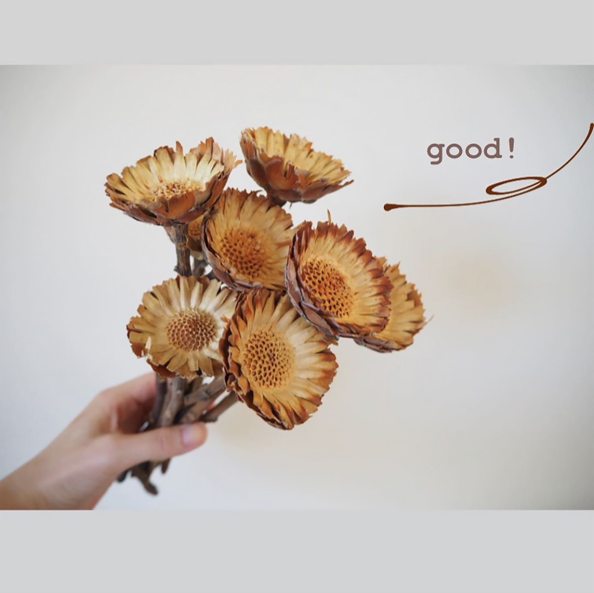 天然真花干花侘寂中古風