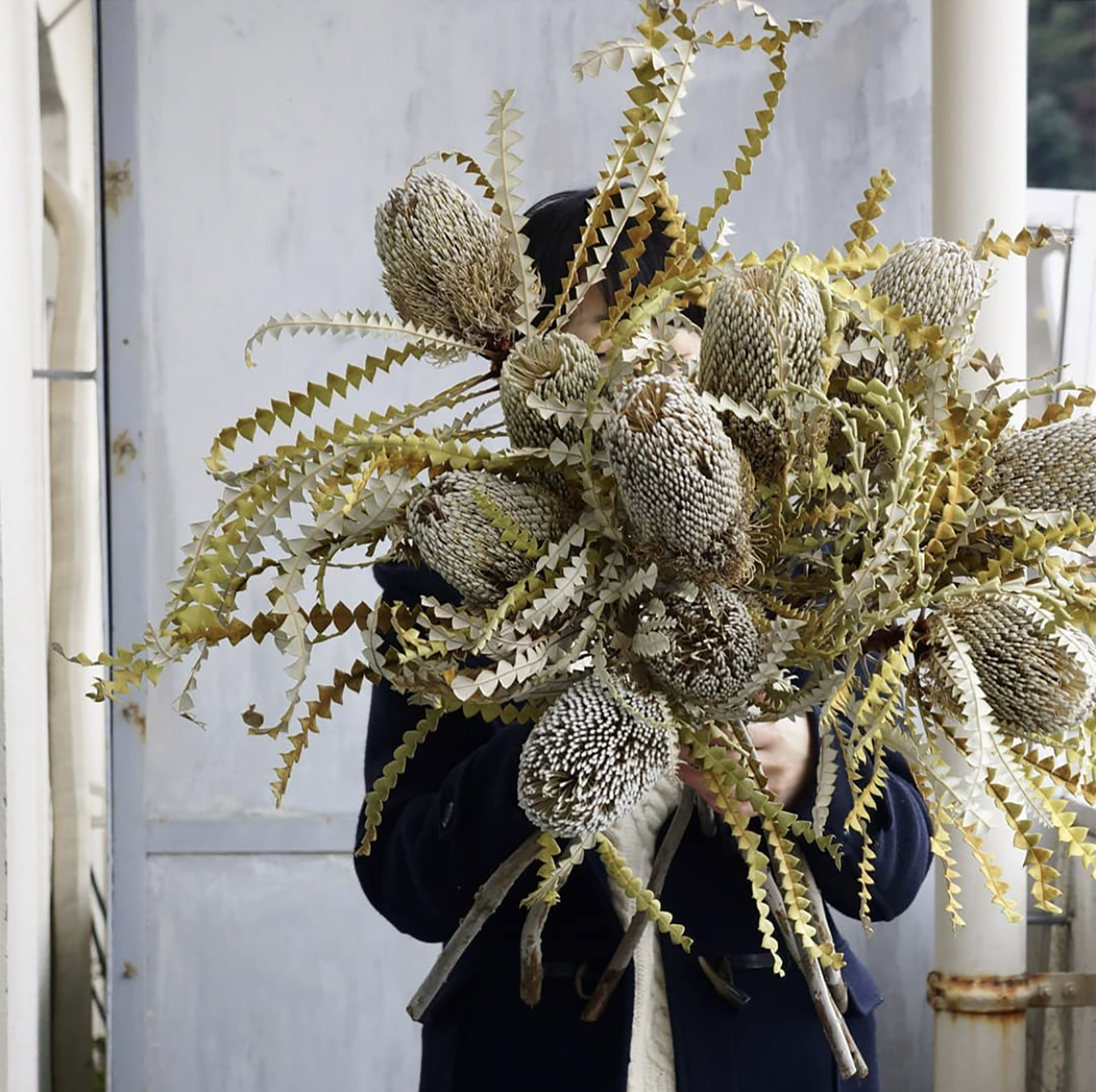 久伴侘寂法式天然真花干花永生花花束客厅桌面装饰摆件高级感中古