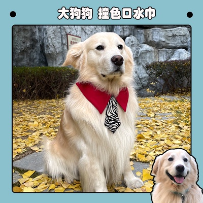 宠物围脖装饰狗狗口水巾围巾领结