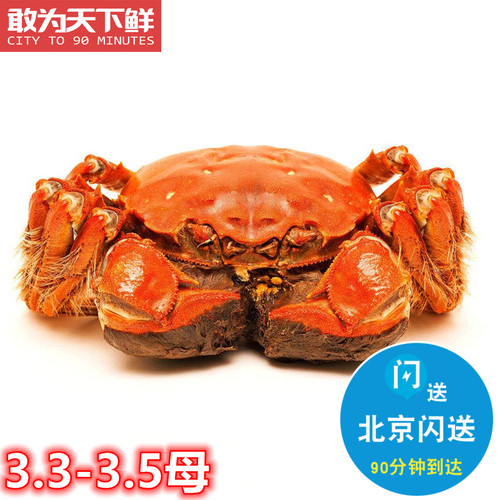 现货河蟹鲜活螃蟹大闸蟹