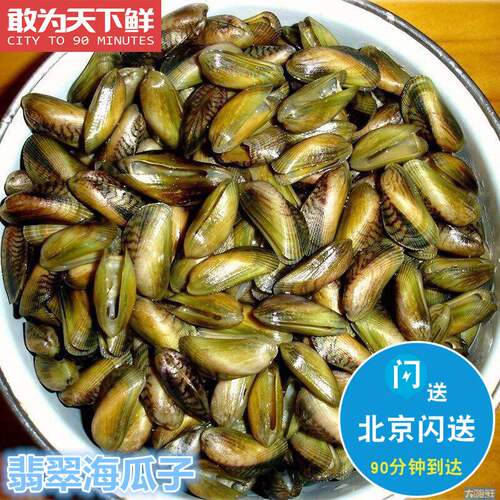 500g 北京闪送 鲜活薄壳 海瓜子海鲜贝类 新鲜 潮汕特产水产