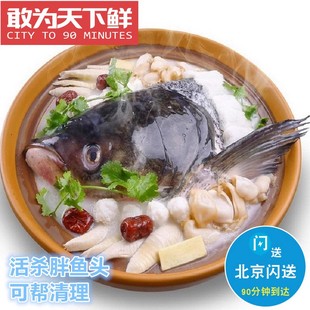 2.5-5斤 北京闪送 新鲜 胖鱼头 鱼头 活杀 大鱼头 雄鱼头 胖头鱼