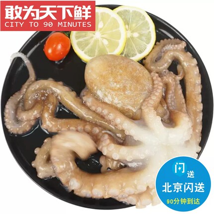 2-4条 500克 北京闪送 鲜活八爪鱼 章鱼 长腿八带鱼 海鲜水产