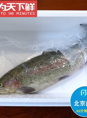 1.5-1.8斤 北京闪送 虹鳟鱼 淡水三文鱼 水产 鲜活 金鳟鱼