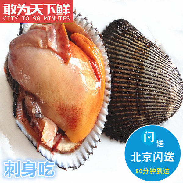 2-3只 500g 北京闪送 鲜活赤贝 只能刺身 水产海鲜 收到需要清理