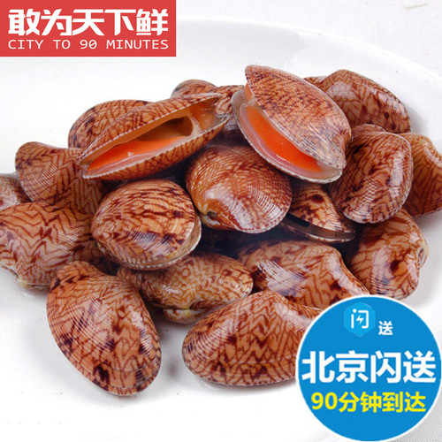 鲜活芒果贝海鲜海南特产