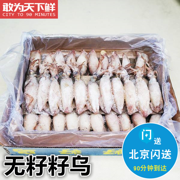 20-30只 海兔子海鲜深海乌鱼仔冰冻新鲜鱿鱼仔乌墨鱼仔无籽籽乌·