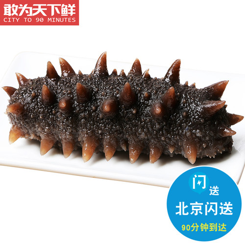 50g1只 即食海参 正宗天然辽宁大连野生刺参高压刺参 3只起拍
