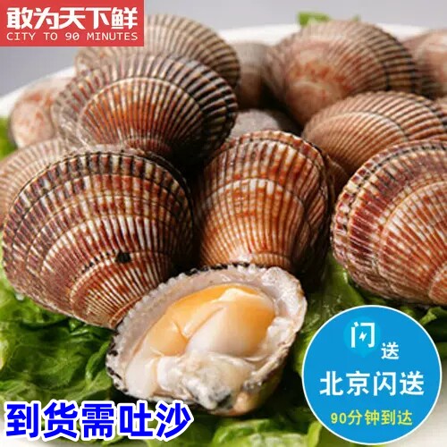 500g 北京闪送 鸟贝 鲜活 鸟蛤 海鲜 新鲜贝类 水产 野生