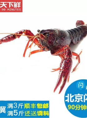 9-12钱鲜活小龙虾潜江
