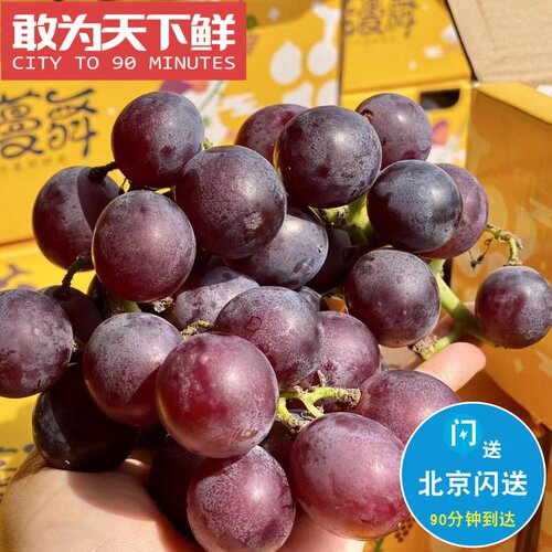 4.6斤 仅限北京闪送 煙果-聚峰堂巨峰葡萄 纯甜 果粉均匀汁水四溢