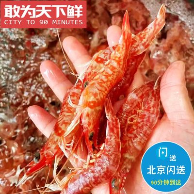 500g 北京闪送 海捕鲜活樱花虾 即食生吃新鲜日料刺身 海鲜水产