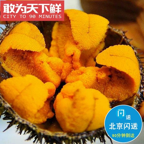1份2只 5两重 仅限闪送 鲜活 黄金胆 大连水产海鲜 新鲜海胆刺身