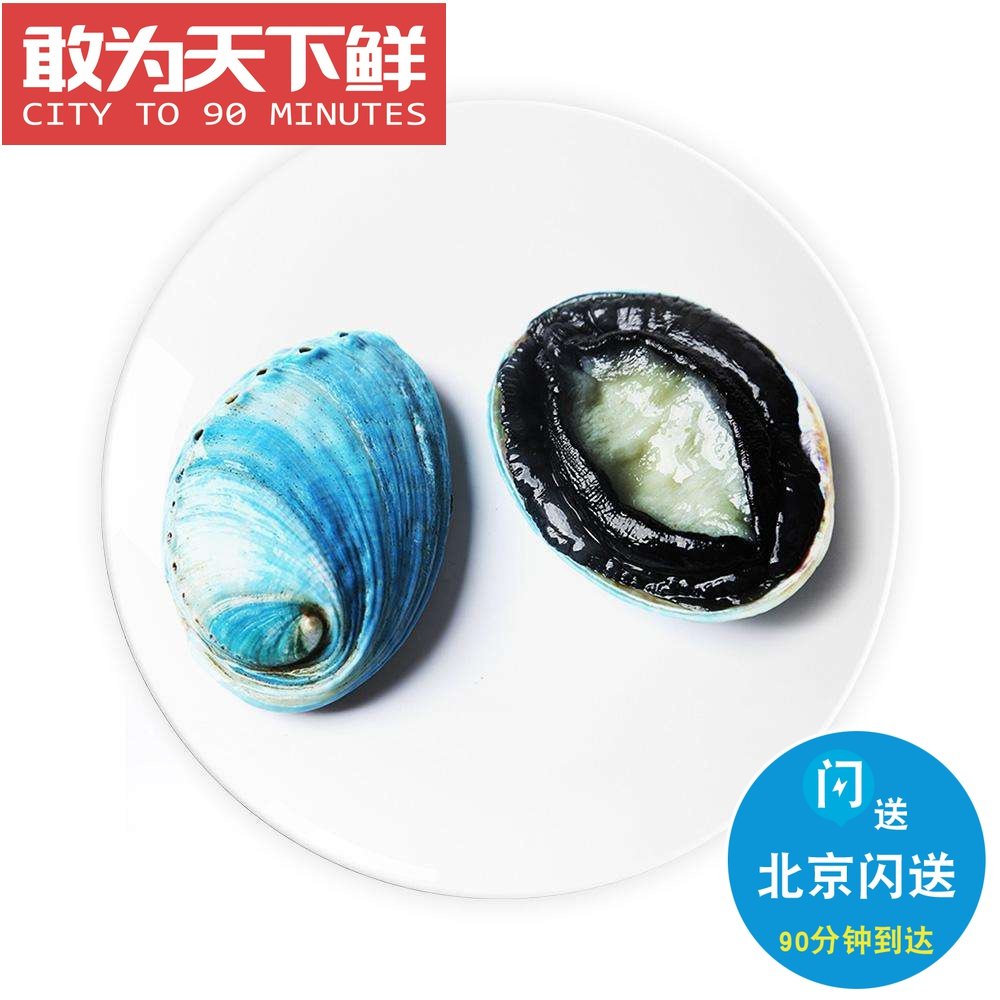 5-7只 500g 北京闪送 鲜活 新西兰蓝 鲍鱼海鲜水产翡翠鲍鱼可刺身