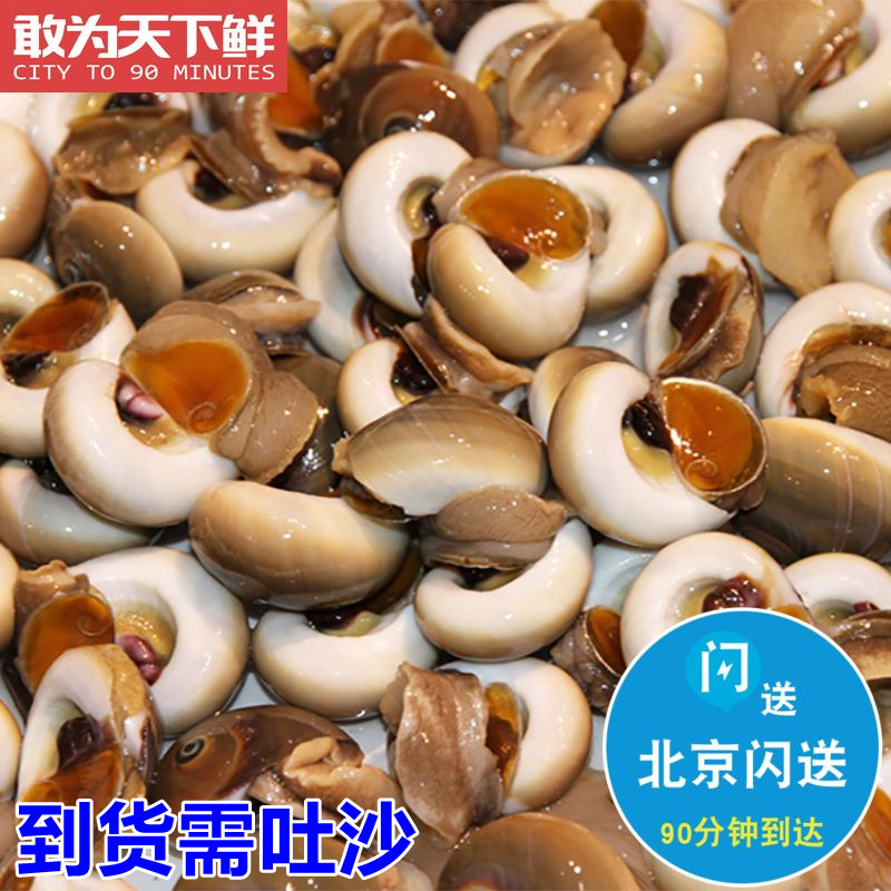 500g 北京闪送 鲜活 香螺 海鲜水产 玉螺 猫眼螺 肚脐螺 新鲜
