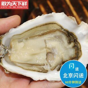 北京闪送 法国进口空运生蚝 安芝莲 N1 鲜活 刺身 3只起拍