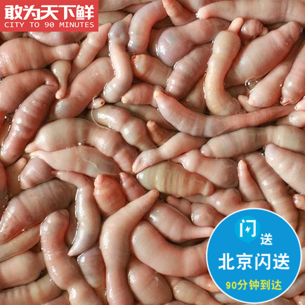 北京闪送 鲜活 海肠子 新鲜 海鲜 水产 沙虫