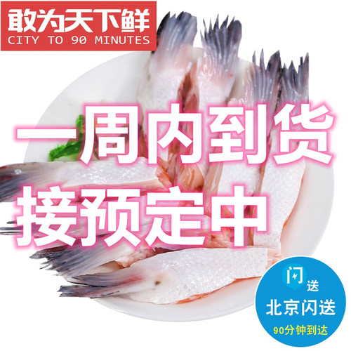 约10条500g挪威三文鱼鳍鱼翅