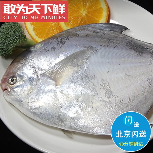 北京闪送 浙江舟山 冰鲜 斗鲳 海捕海鲜水产 平鱼银鲳