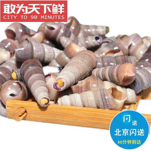 500g 仅限闪送 钉螺 鲜活 已去尾 海鲜水产 贝类 尖螺 海螺 新鲜