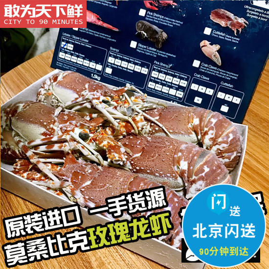5-8只 1500g 莫桑比克玫瑰龙 海鲜水产鲜活冷冻大龙虾可刺身