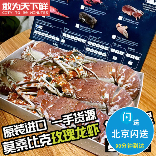 5-8只 1500g 莫桑比克玫瑰龙 海鲜水产鲜活冷冻大龙虾可刺身